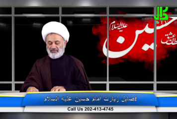 فضیلت زیارت امام حسین عليه السلام – قسمت 4