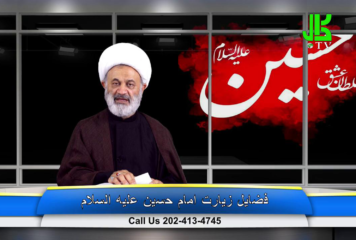 فضیلت زیارت امام حسین عليه السلام – قسمت 5