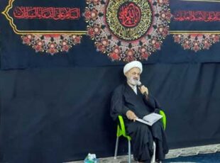 سيرى در زيارت اربعين