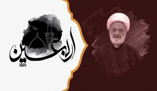 فرهنگ معرفت امام